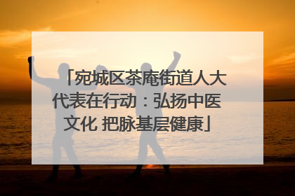 宛城区茶庵街道人大代表在行动：弘扬中医文化 把脉基层健康