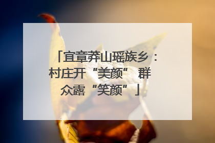 宜章莽山瑶族乡：村庄开“美颜” 群众露“笑颜”