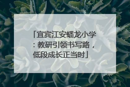宜宾江安蟠龙小学：教研引领书写路，低段成长正当时