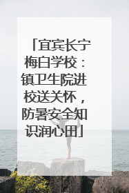 宜宾长宁梅白学校：镇卫生院进校送关怀，防暑安全知识润心田