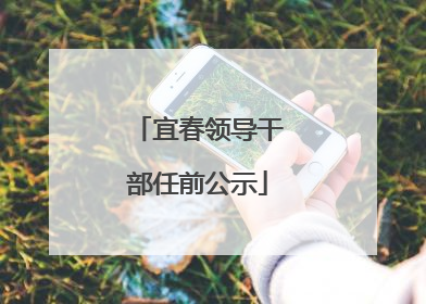 宜春领导干部任前公示