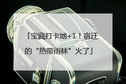 宝藏打卡地+1！宿迁的“热带雨林”火了