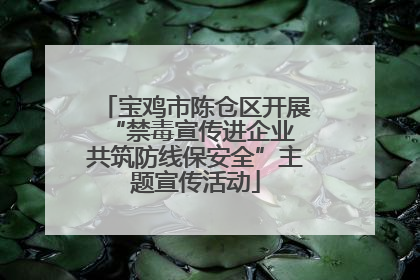 宝鸡市陈仓区开展“禁毒宣传进企业 共筑防线保安全”主题宣传活动