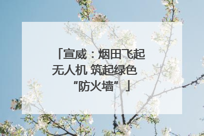 宣威：烟田飞起无人机 筑起绿色“防火墙”