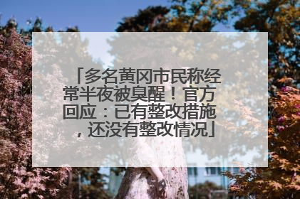 多名黄冈市民称经常半夜被臭醒！官方回应：已有整改措施，还没有整改情况