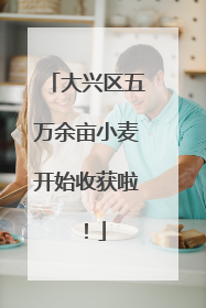 大兴区五万余亩小麦开始收获啦！