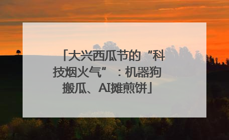 大兴西瓜节的“科技烟火气”：机器狗搬瓜、AI摊煎饼