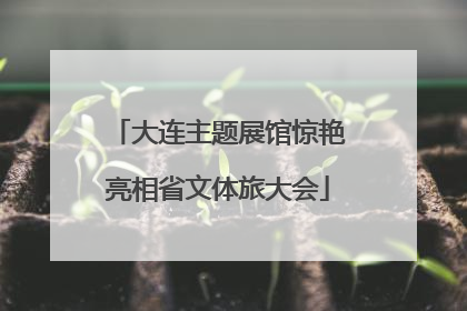 大连主题展馆惊艳亮相省文体旅大会