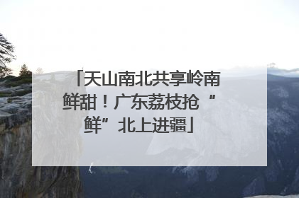 天山南北共享岭南鲜甜！广东荔枝抢“鲜”北上进疆