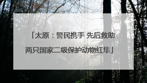 太原：警民携手 先后救助两只国家二级保护动物红隼