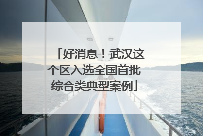好消息！武汉这个区入选全国首批综合类典型案例