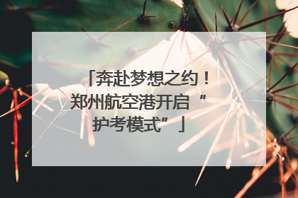 奔赴梦想之约！郑州航空港开启“护考模式”