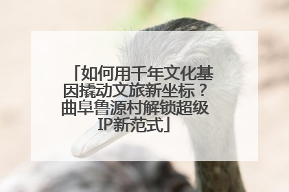如何用千年文化基因撬动文旅新坐标？曲阜鲁源村解锁超级IP新范式