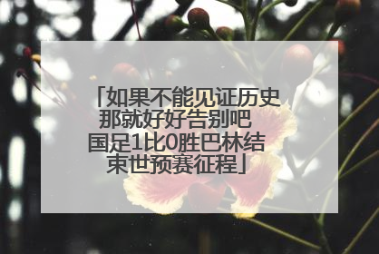 如果不能见证历史 那就好好告别吧 国足1比0胜巴林结束世预赛征程