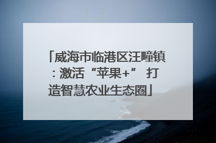 威海市临港区汪疃镇：激活“苹果+” 打造智慧农业生态圈