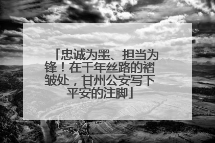 忠诚为墨、担当为锋！在千年丝路的褶皱处，甘州公安写下平安的注脚
