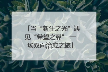 当“新生之光”遇见“希望之翼” 一场双向治愈之旅