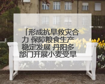 形成抗旱救灾合力 保障粮食生产稳定发展 丹阳多部门开展小麦受旱情况调研