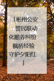 彬州公安：警民联动化赡养纠纷 枫桥经验守护夕阳红