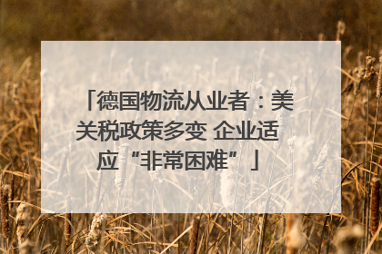 德国物流从业者：美关税政策多变 企业适应“非常困难”