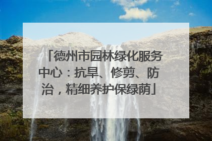 德州市园林绿化服务中心：抗旱、修剪、防治，精细养护保绿荫