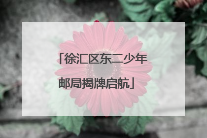 徐汇区东二少年邮局揭牌启航