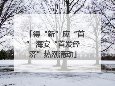 得“新”应“首” 海安“首发经济”热潮涌动