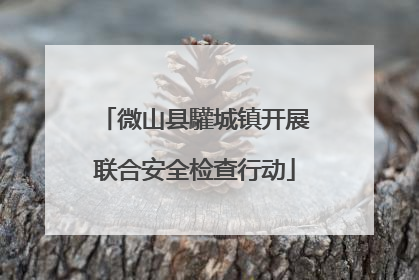 微山县驩城镇开展联合安全检查行动