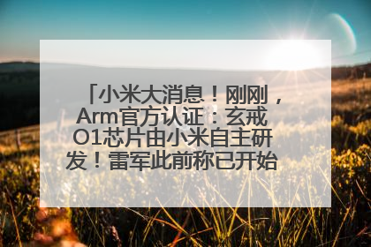 小米大消息！刚刚，Arm官方认证：玄戒O1芯片由小米自主研发！雷军此前称已开始大规模量产