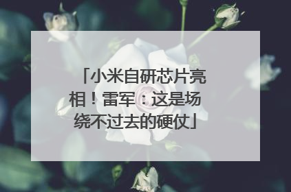 小米自研芯片亮相！雷军：这是场绕不过去的硬仗