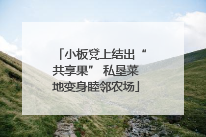 小板凳上结出“共享果” 私垦菜地变身睦邻农场