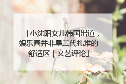 小沈阳女儿韩国出道，娱乐圈并非星二代扎堆的舒适区｜文艺评论