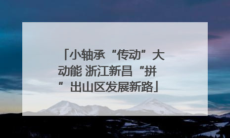 小轴承“传动”大动能 浙江新昌“拼”出山区发展新路