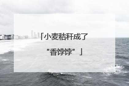 小麦秸秆成了“香饽饽”