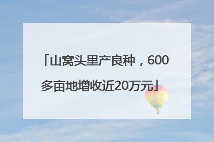 山窝头里产良种，600多亩地增收近20万元
