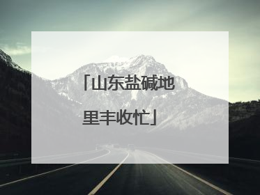山东盐碱地里丰收忙