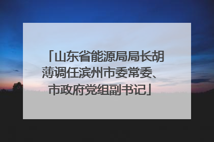 山东省能源局局长胡薄调任滨州市委常委、市政府党组副书记