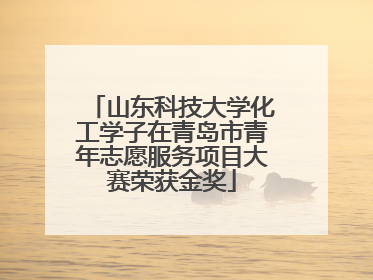 山东科技大学化工学子在青岛市青年志愿服务项目大赛荣获金奖