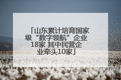 山东累计培育国家级“数字领航”企业18家 其中民营企业牵头10家