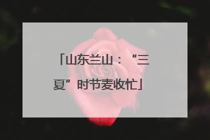 山东兰山：“三夏”时节麦收忙