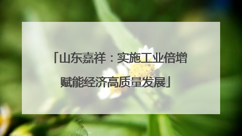 山东嘉祥：实施工业倍增 赋能经济高质量发展