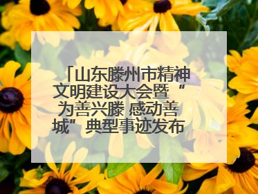 山东滕州市精神文明建设大会暨“为善兴滕 感动善城”典型事迹发布活动举行