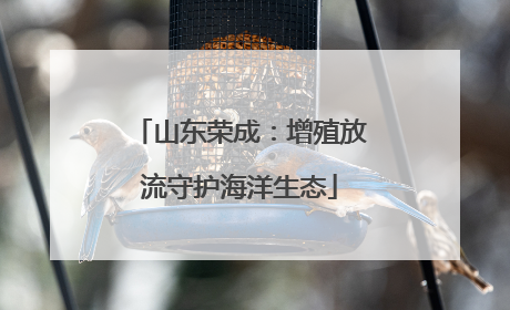 山东荣成：增殖放流守护海洋生态