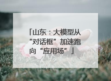 山东：大模型从“对话框”加速跑向“应用场”
