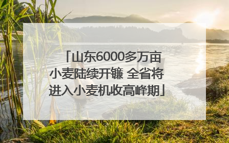 山东6000多万亩小麦陆续开镰 全省将进入小麦机收高峰期