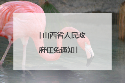 山西省人民政府任免通知