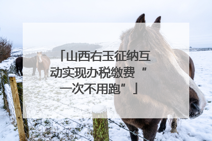 山西右玉征纳互动实现办税缴费“一次不用跑”