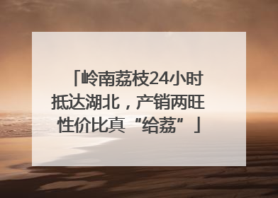 岭南荔枝24小时抵达湖北，产销两旺性价比真“给荔”