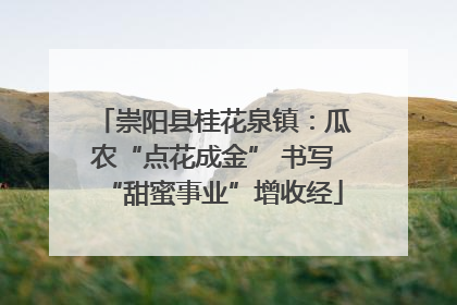 崇阳县桂花泉镇：瓜农“点花成金” 书写“甜蜜事业”增收经