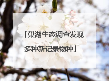 巢湖生态调查发现多种新记录物种